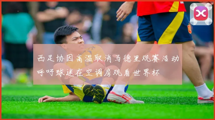 西足协因高温取消马德里观赛活动呼吁球迷在空调房观看世界杯